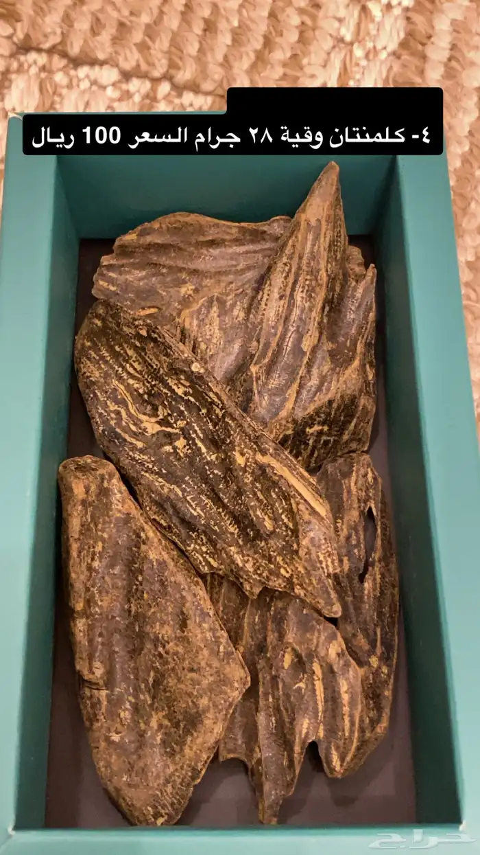 عود 4