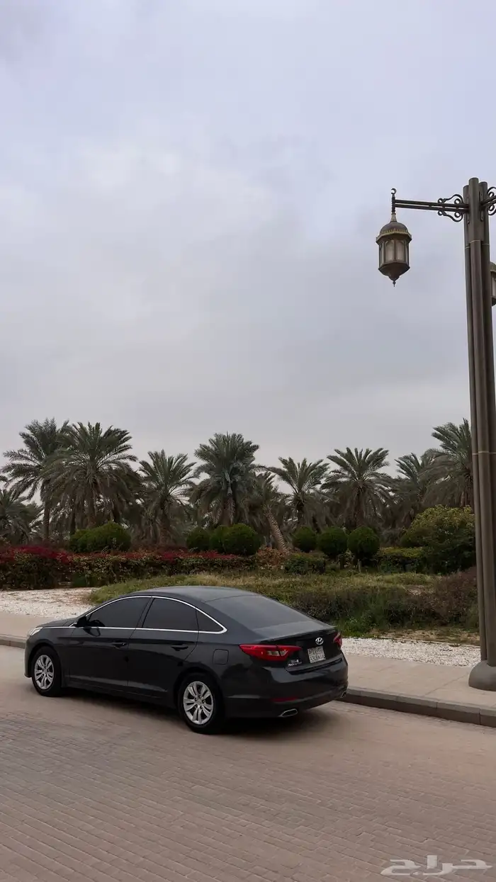 سوناتا 2018 12