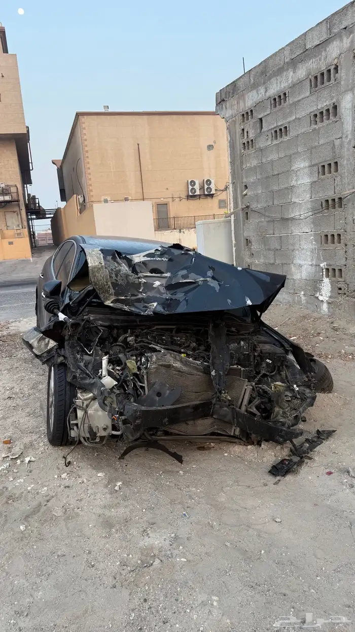 كادينزا 2018 2