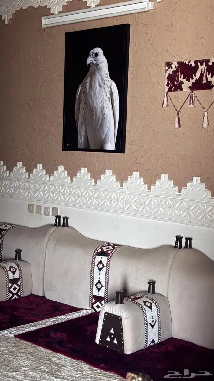 لوحة صقر 0