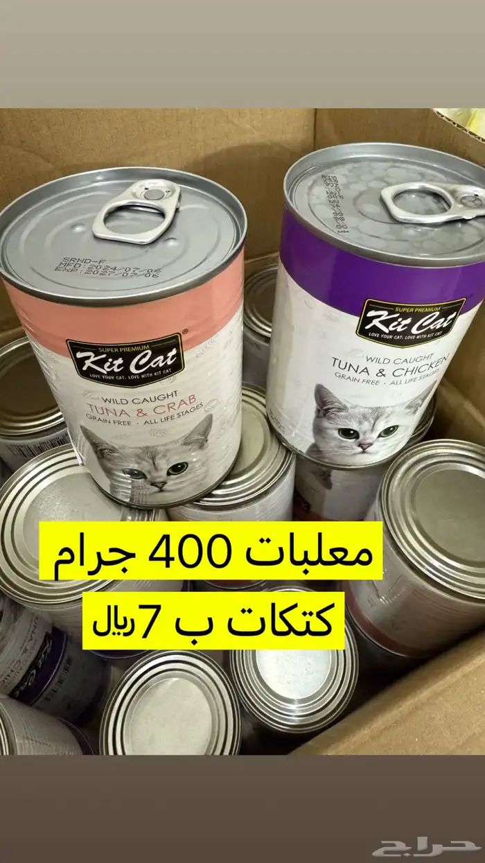 طعام قطط 4