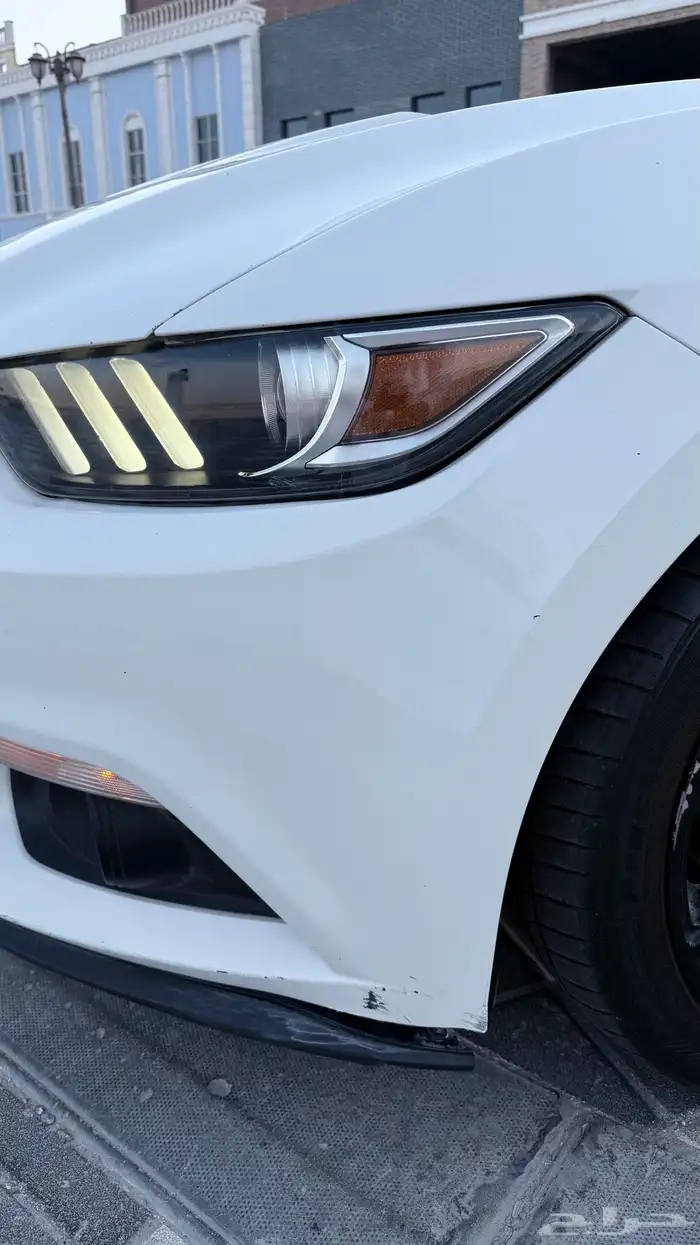 موستنج 2016 GT 26