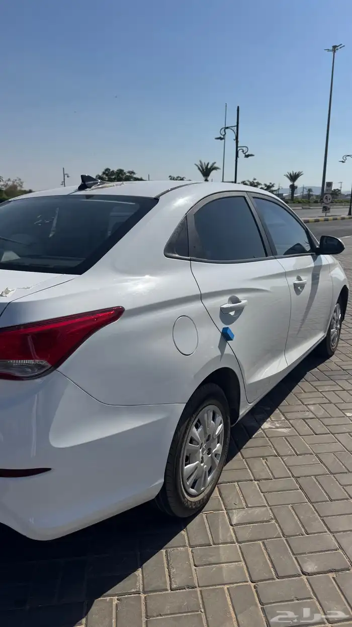 شانجان السفن 2025 2