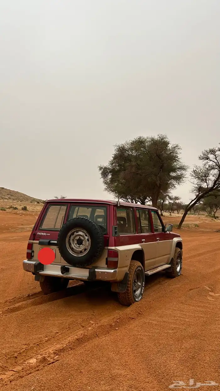 باترول ملكزز 3