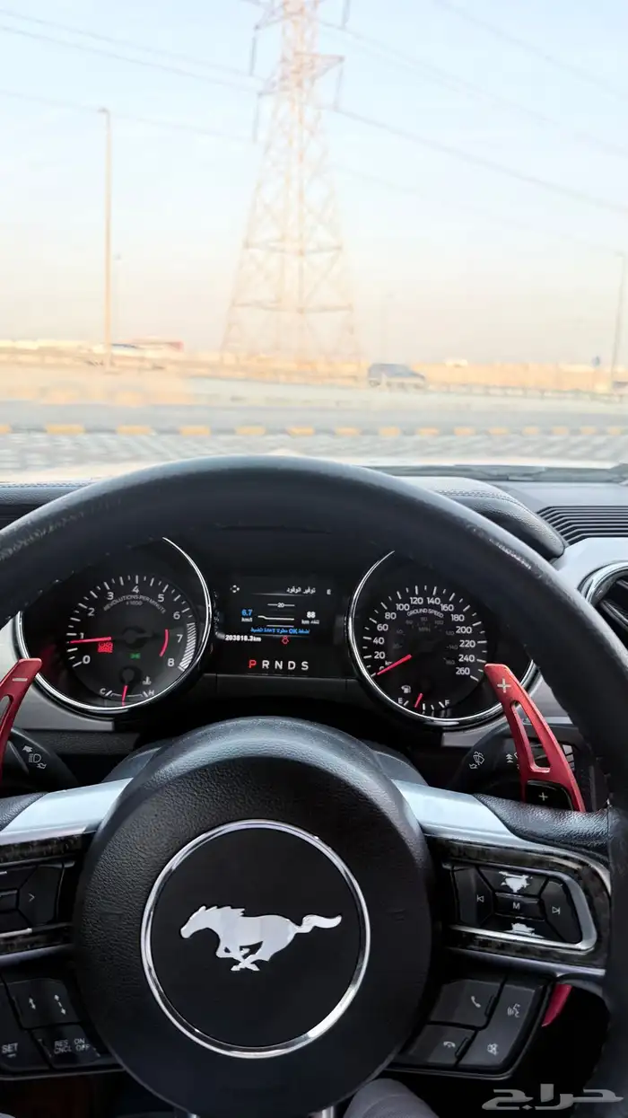موستنج 2016 GT 29