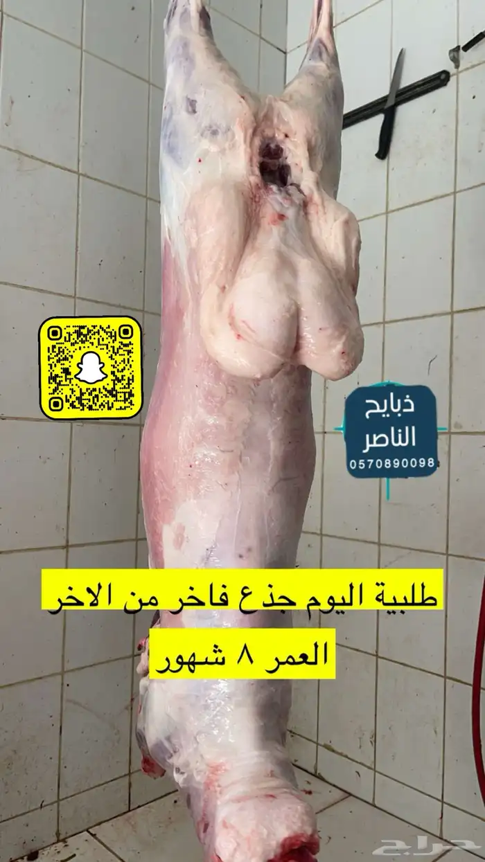 ذبيحتك لباب بيتك نعيمي و حري و ساكني 1