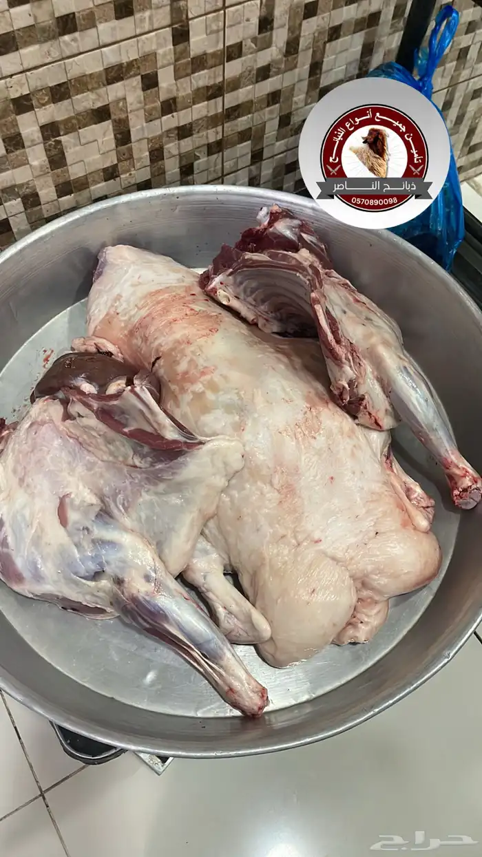 ذبيحتك لباب بيتك نعيمي و حري و ساكني 4