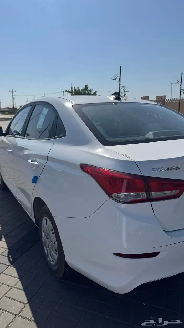 شانجان السفن 2025 1