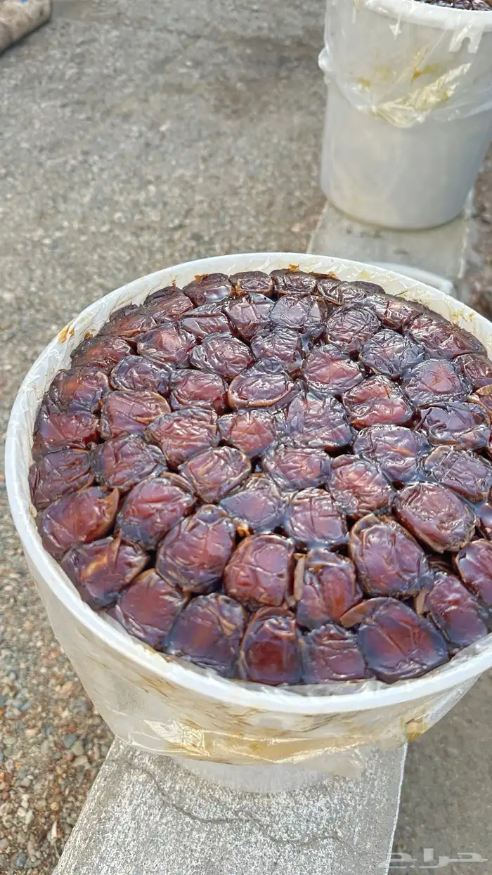 تمر العيص مزارع الفرع 5
