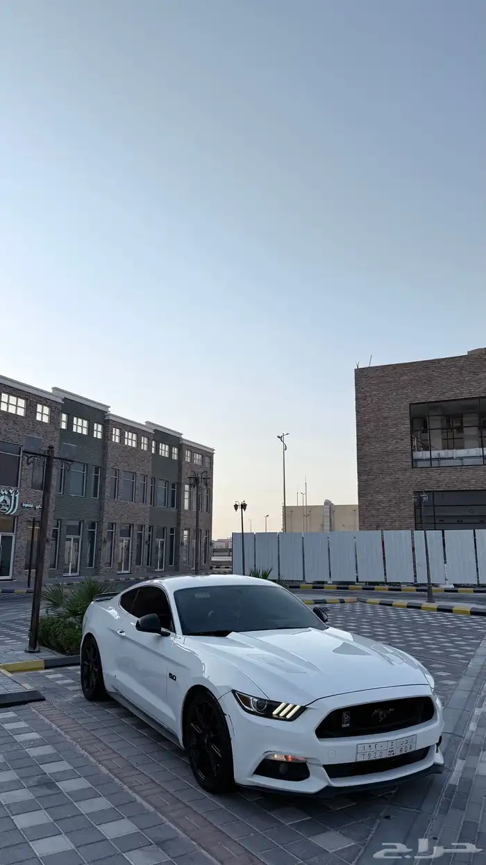 موستنج 2016 GT 1