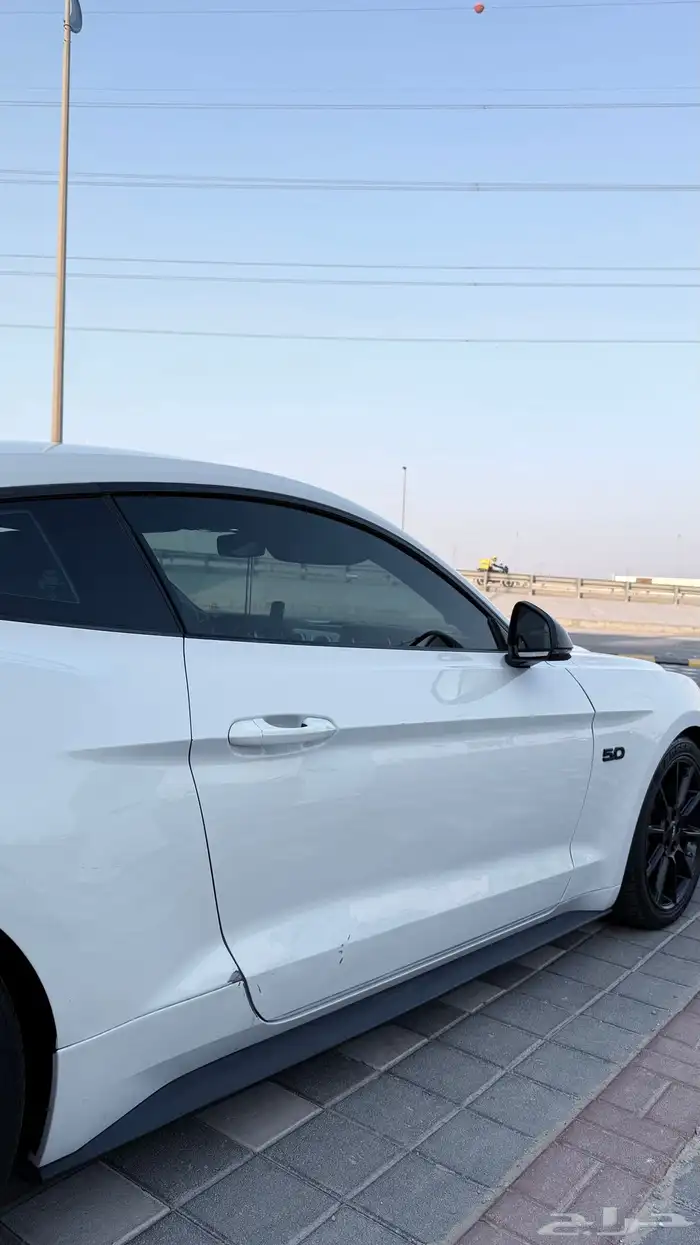 موستنج 2016 GT 19
