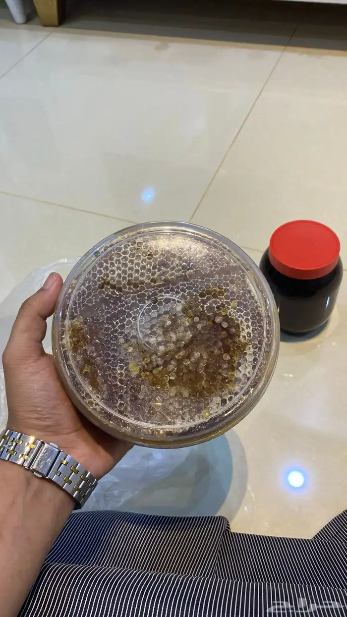 عسل سمرة مشروط 0