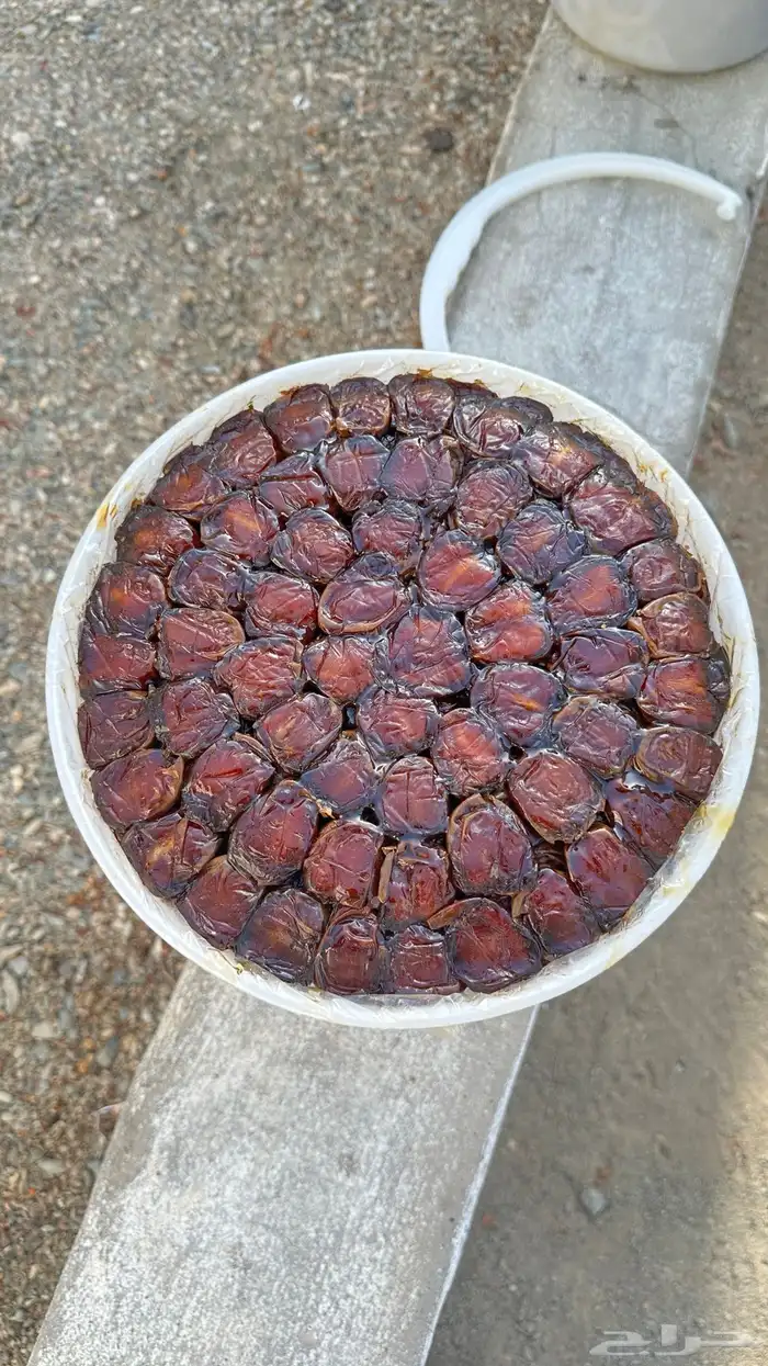 تمر العيص مزارع الفرع 4