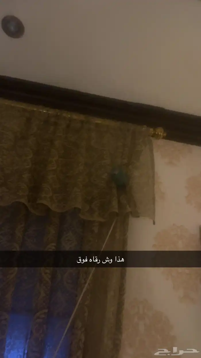 طير روز 5