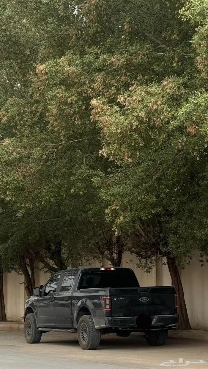 F-150 2015 2