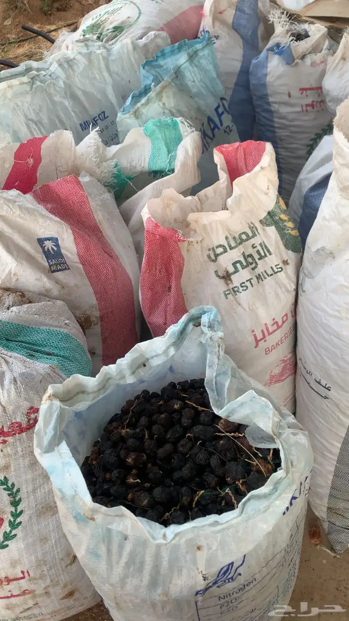 تمر غنم للبيع 2