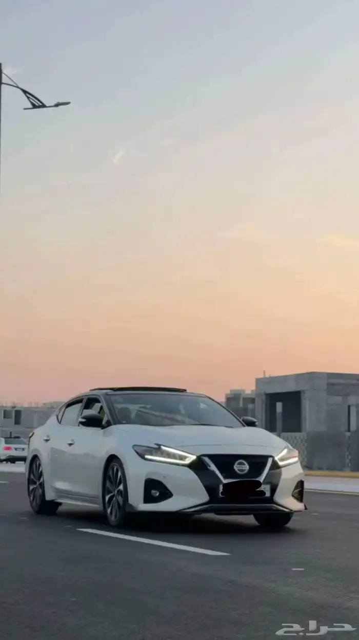 مكسيما sv مخزن 24