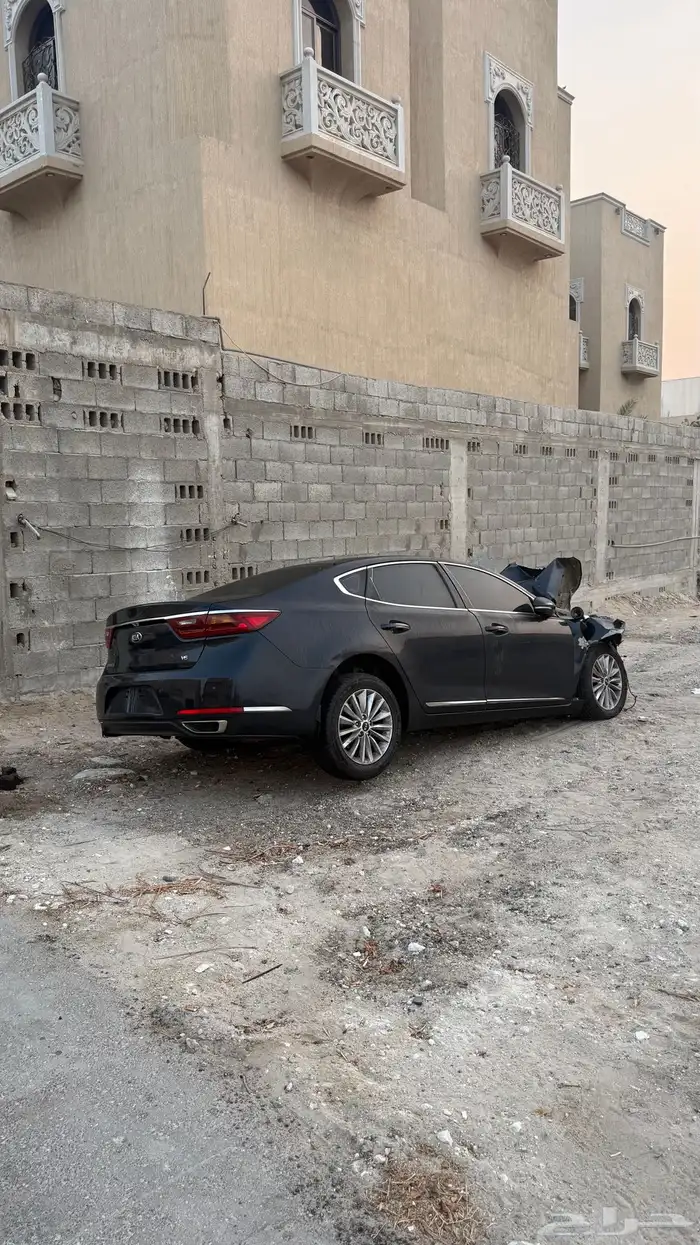 كادينزا 2018 1