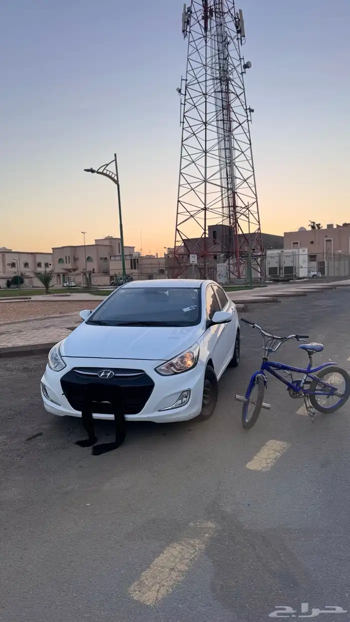 سيكل مميز جدا  جدا  بأسم (كجه) نادر و استخدام نضيف 0