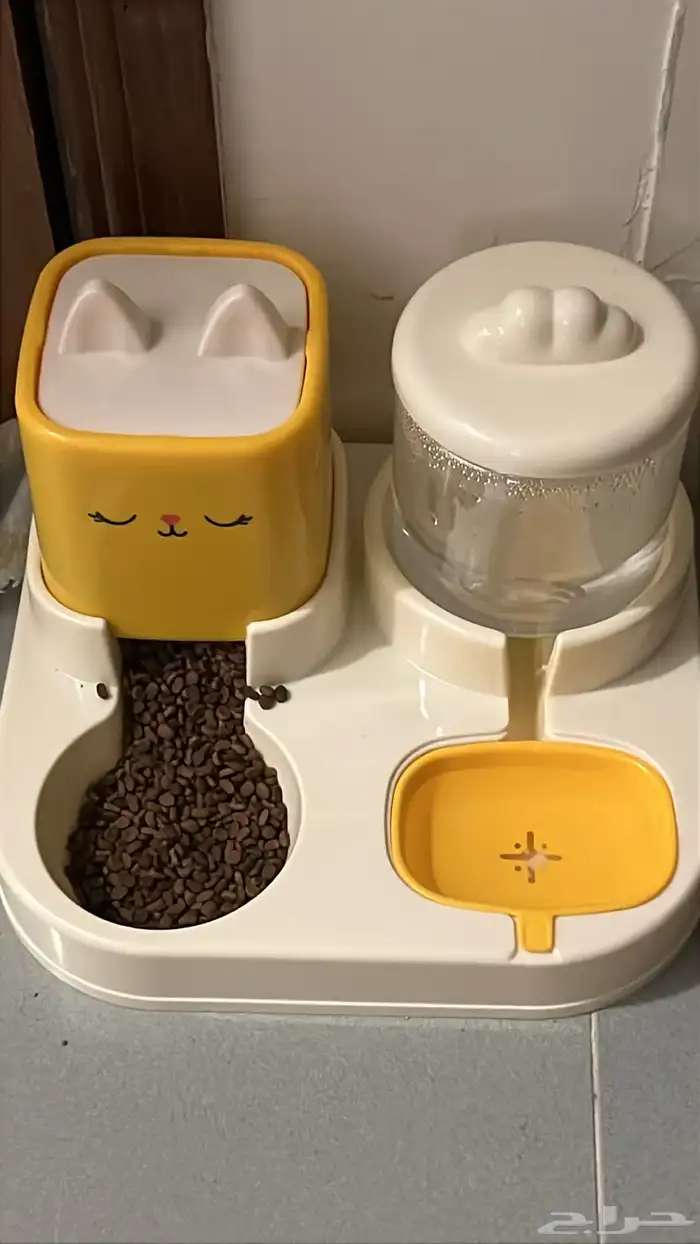 قط للبيع ذكر عمره 3 شهور 1