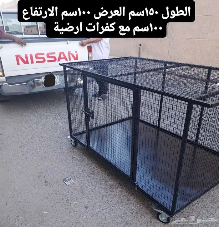 قفص روز كروان كوكتيل فشر كناري ببغاء كاسكو قطط كلب 2