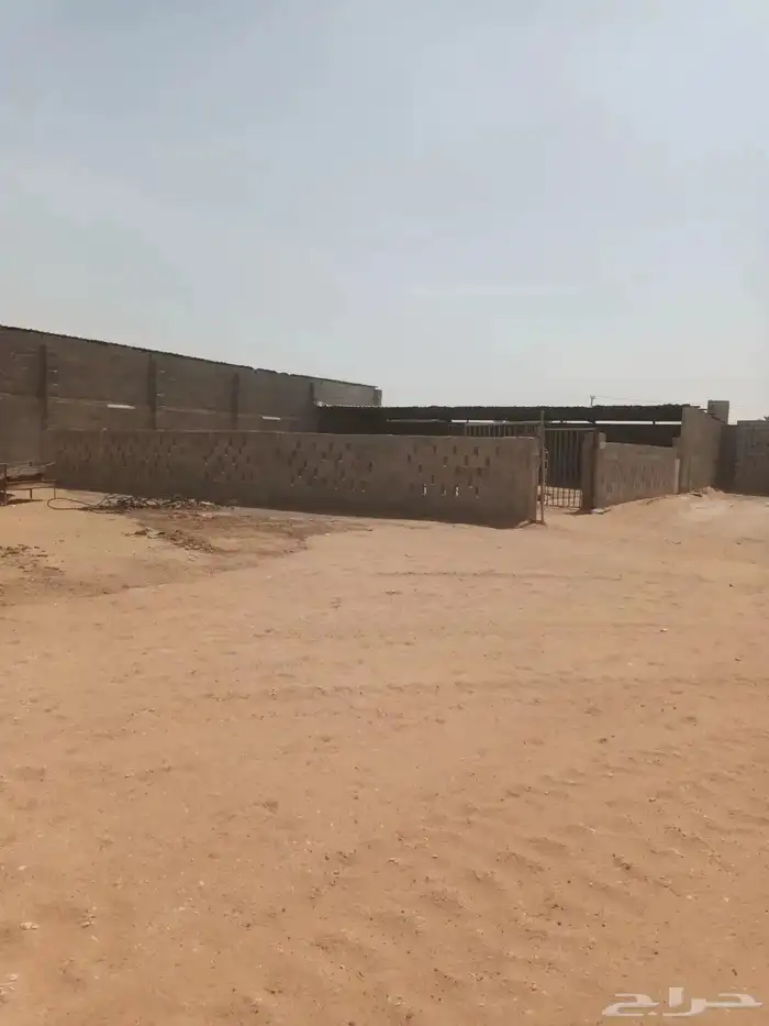 الخرج الهياثم العفجه نجديه الرحمانيه الشديده الرفايع العتيق 8