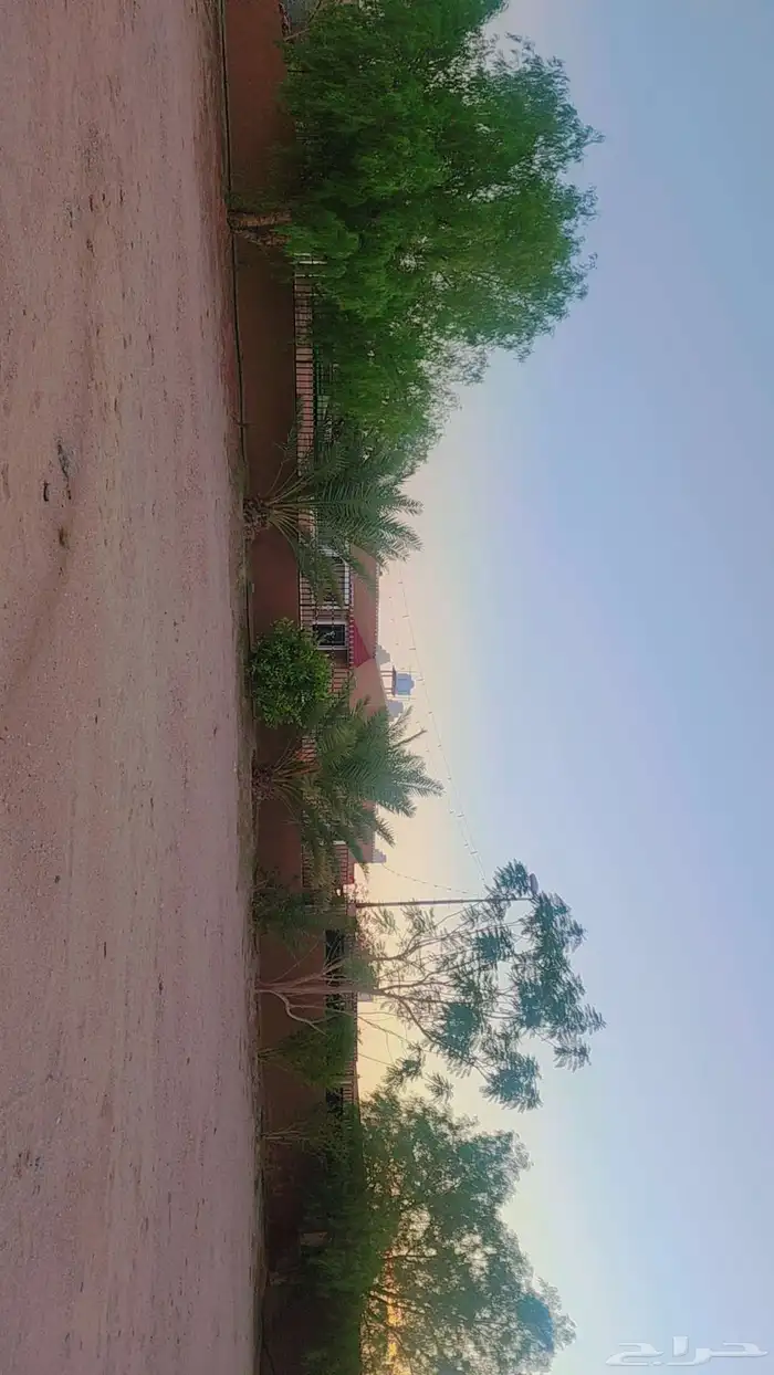 حوش كبير بداخله منزل مفروش ومنزل للعمال ومستودعات للايجار 6