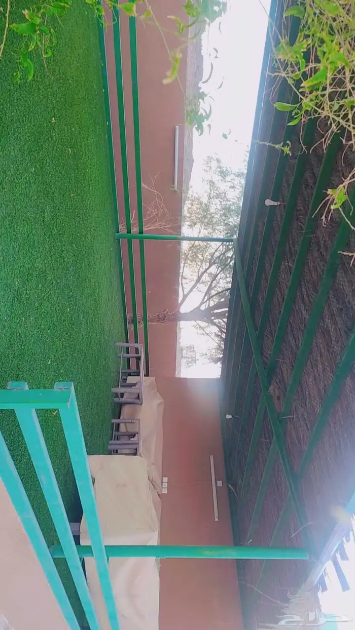 حوش كبير بداخله منزل مفروش ومنزل للعمال ومستودعات للايجار 12