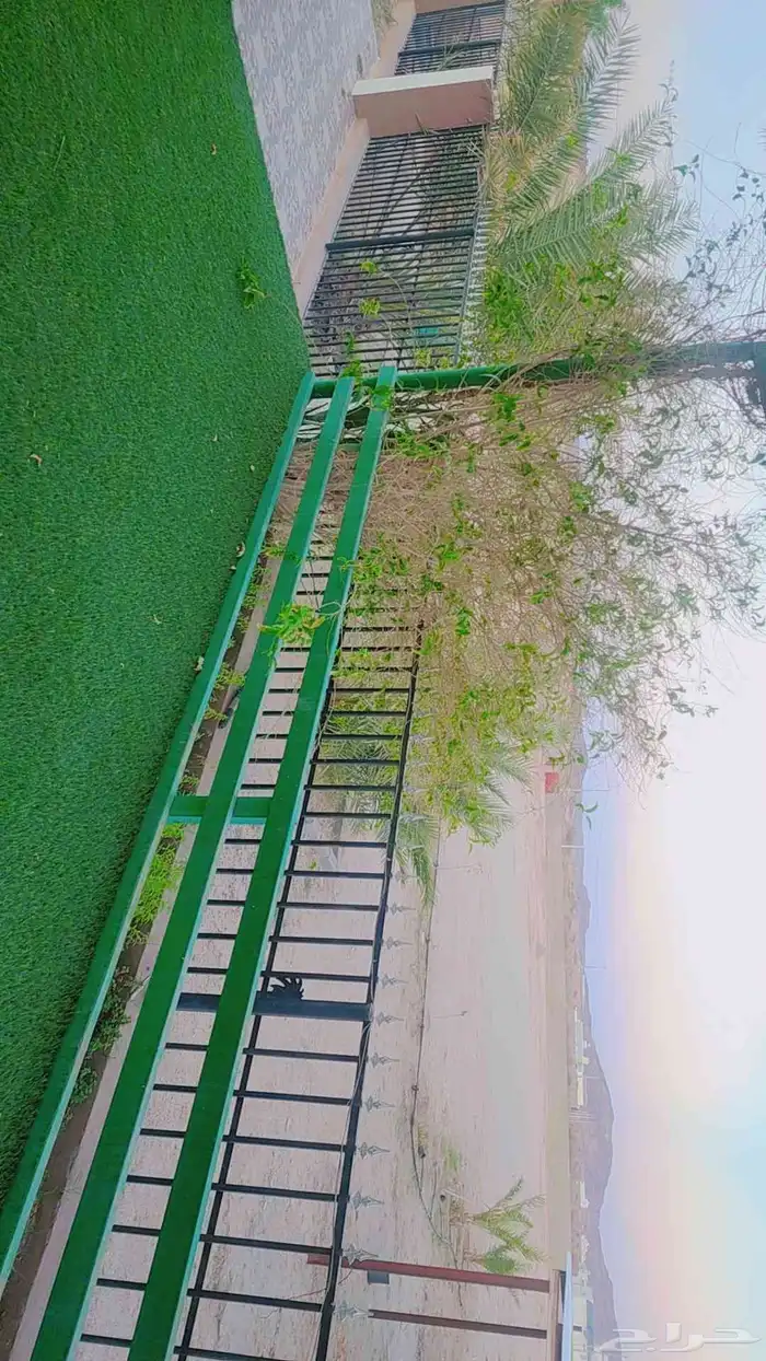 حوش كبير بداخله منزل مفروش ومنزل للعمال ومستودعات للايجار 11