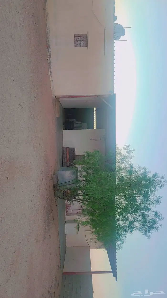 حوش كبير بداخله منزل مفروش ومنزل للعمال ومستودعات للايجار 2