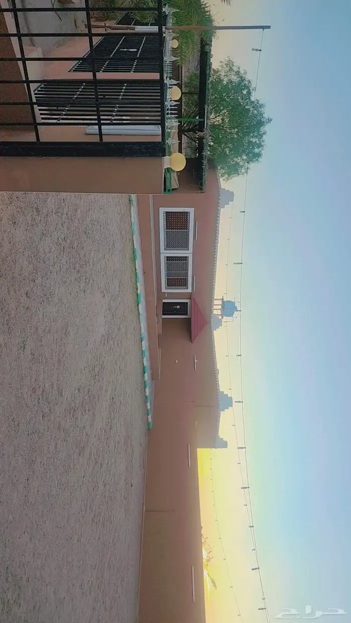 حوش كبير بداخله منزل مفروش ومنزل للعمال ومستودعات للايجار 9