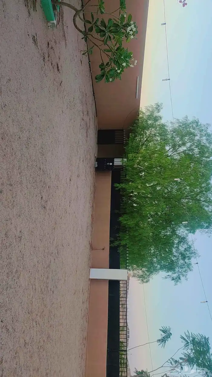 حوش كبير بداخله منزل مفروش ومنزل للعمال ومستودعات للايجار 13