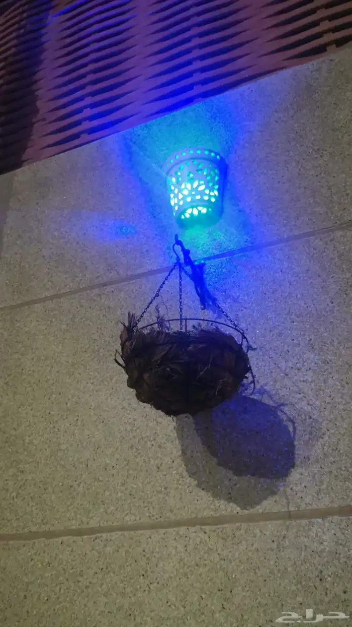 مشرف مقاولات سعودي 7