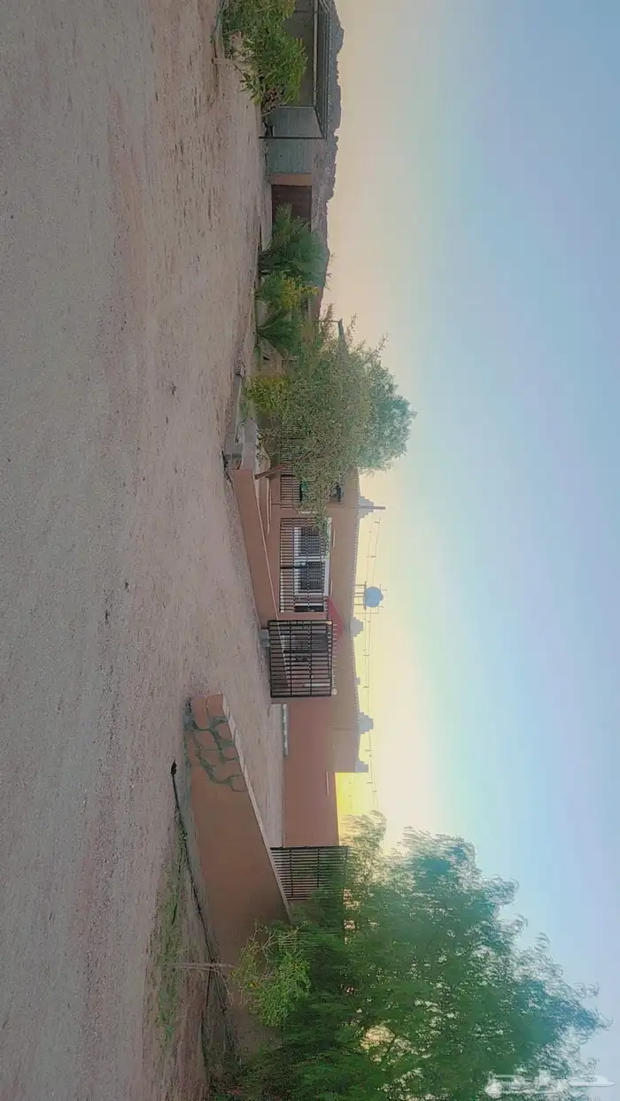 حوش كبير بداخله منزل مفروش ومنزل للعمال ومستودعات للايجار 7