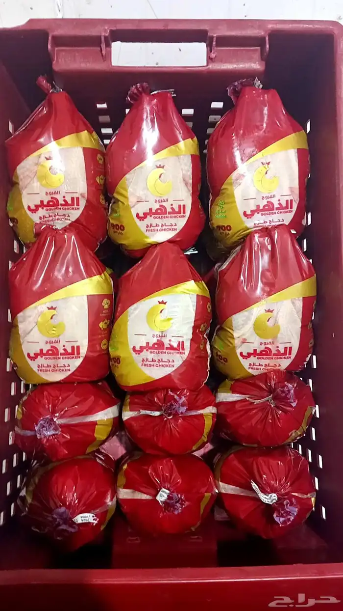 متوفر لدينا دجاج مبرد ومثلج وطنيه تنميه الفروج الذهبي . 0