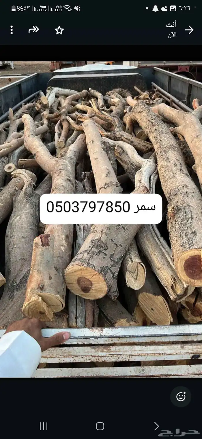 حطب افريقي سمر 0