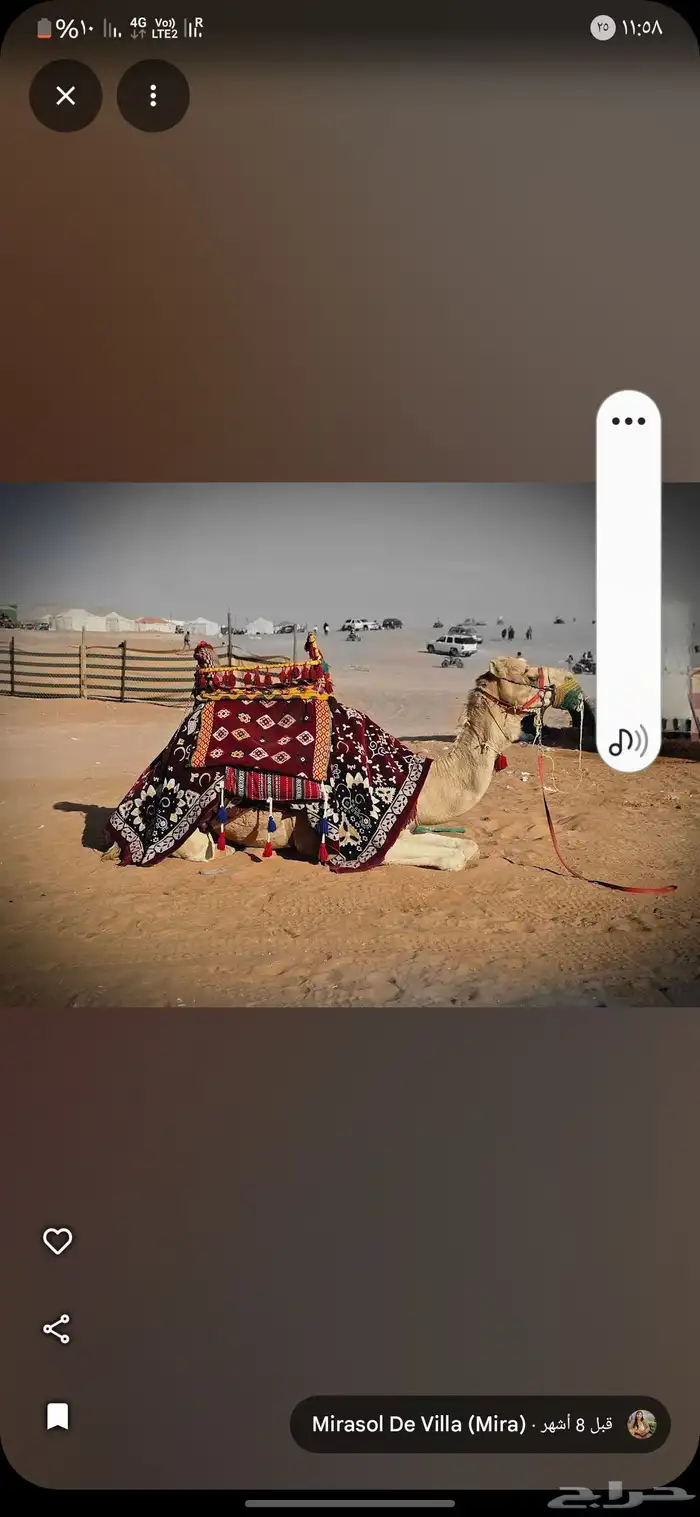إجار جمال ركبي رحول وا خيول وا دبابات بي اليوم وا الاسبوع 3