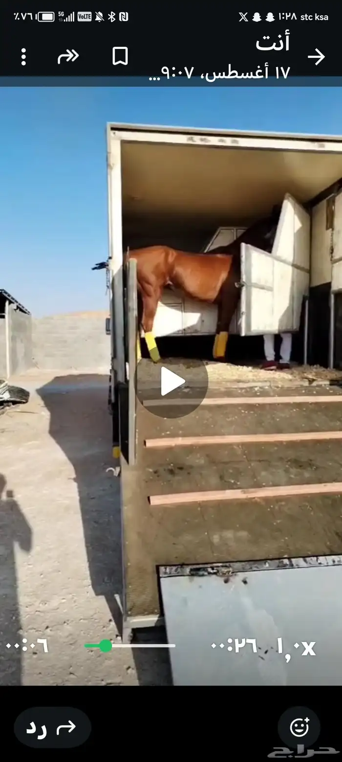 دنة خيل خمس روس للبيع.. موديل 2012مكينه كبيره وتيربو 0