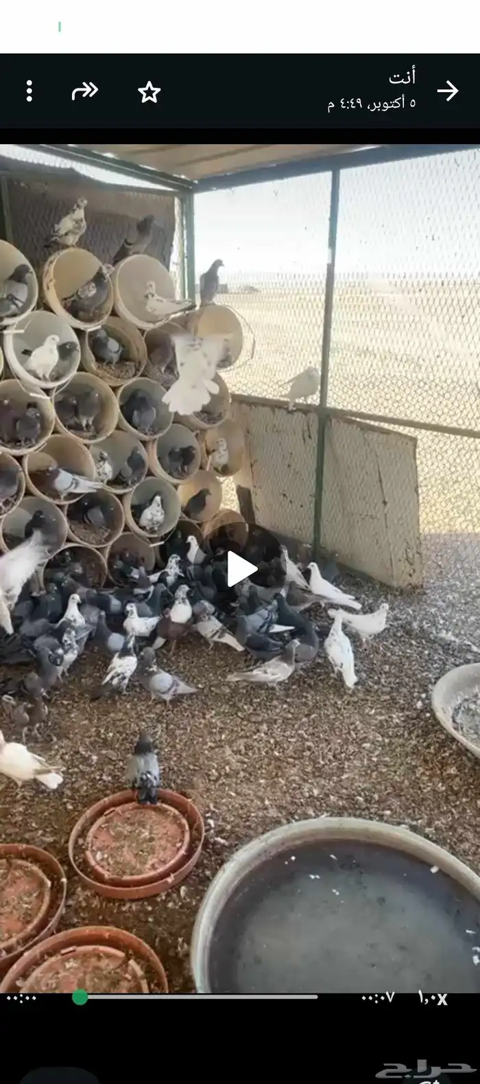موجود حمام مشكل 1