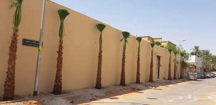 مقاول شبوك ونخل 6