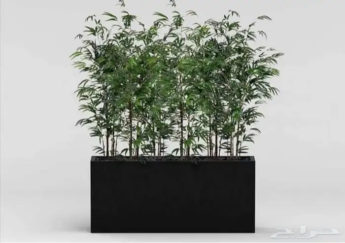 احواض فايبر جلاس 9