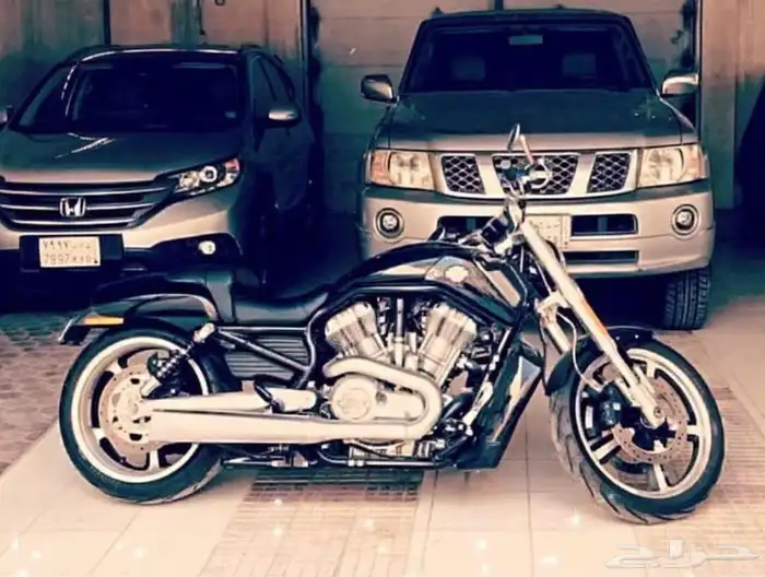 Harley Davidson v rod muscle هارلي 0