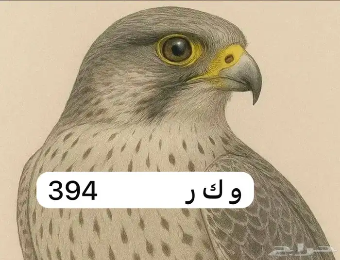 لوحه جميله لعشاق الصقور و ك ر 394 0
