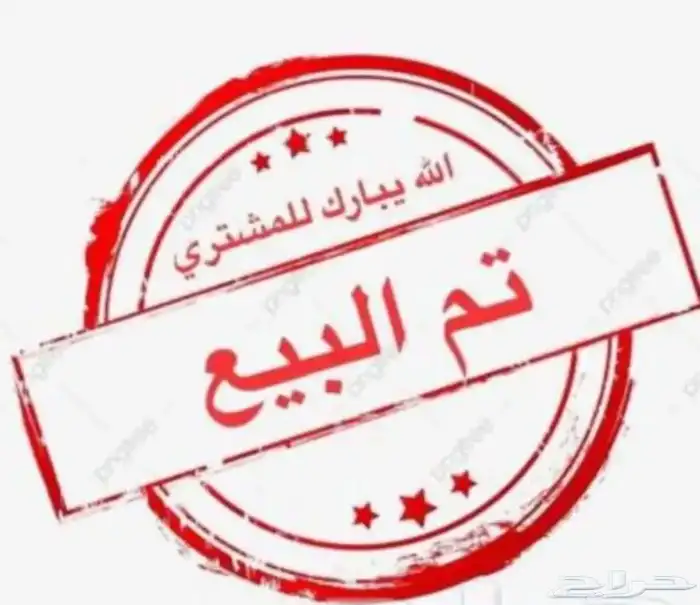 صيصان للبيع 1