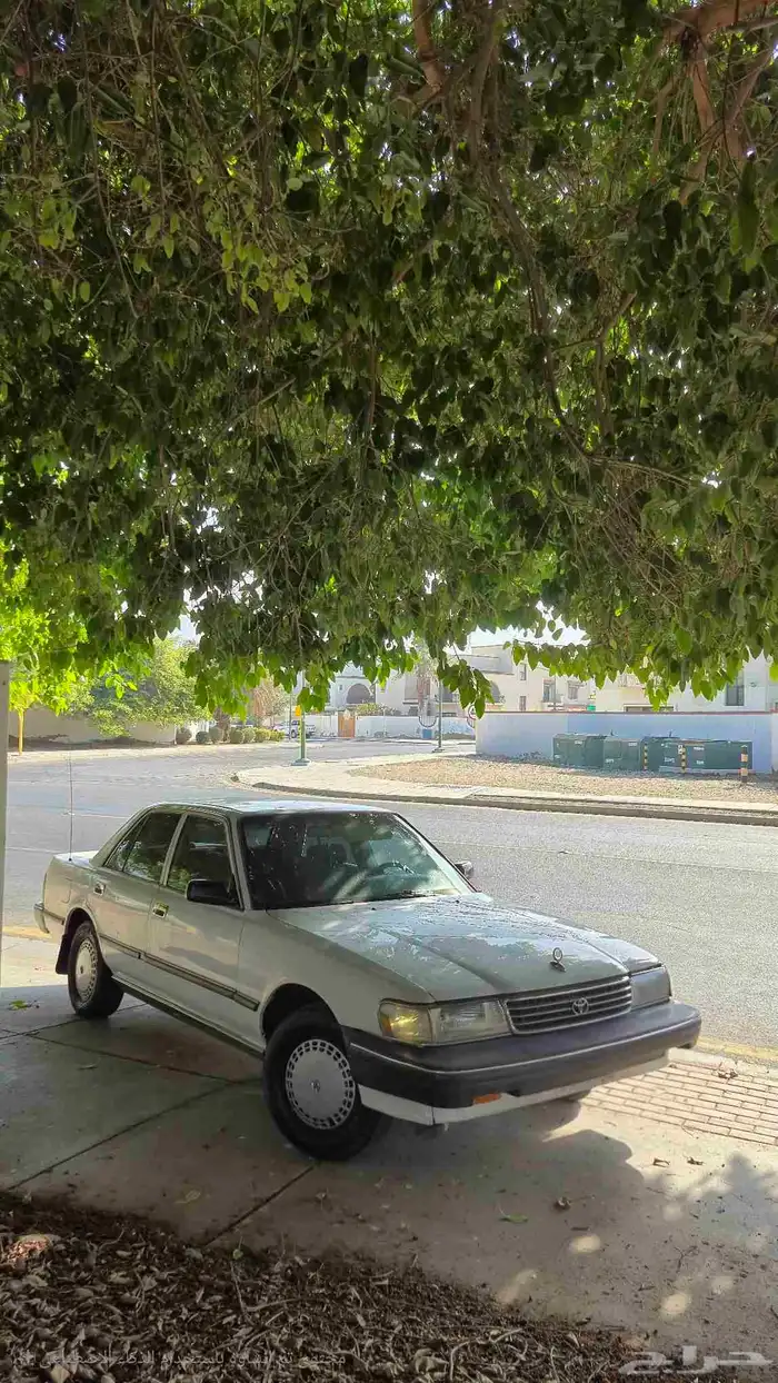 كرسيدا 1996 نظيف 3