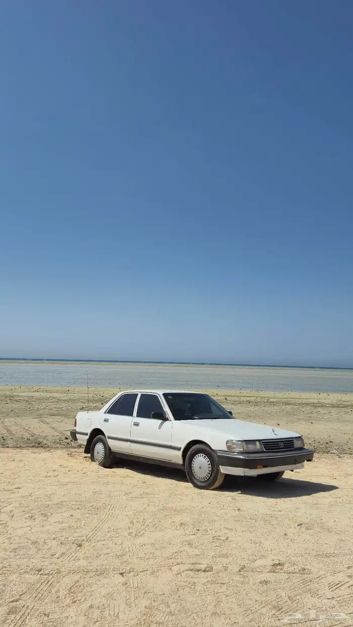 كرسيدا 1996 نظيف 4