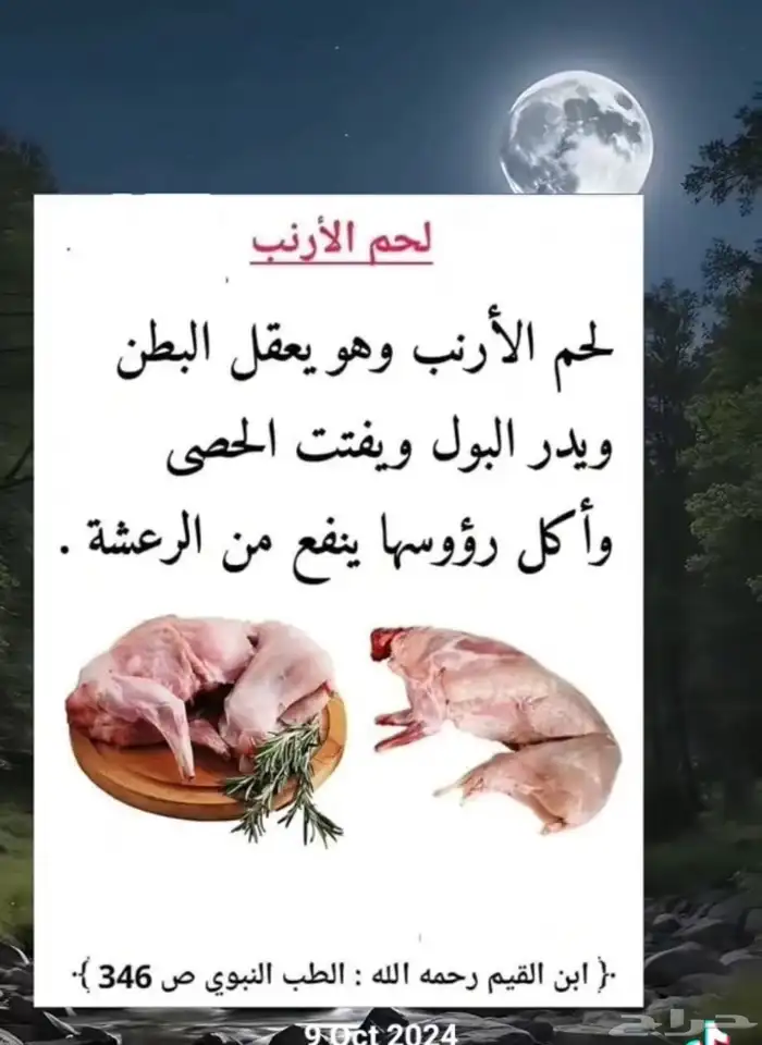 ارانب النماص 2