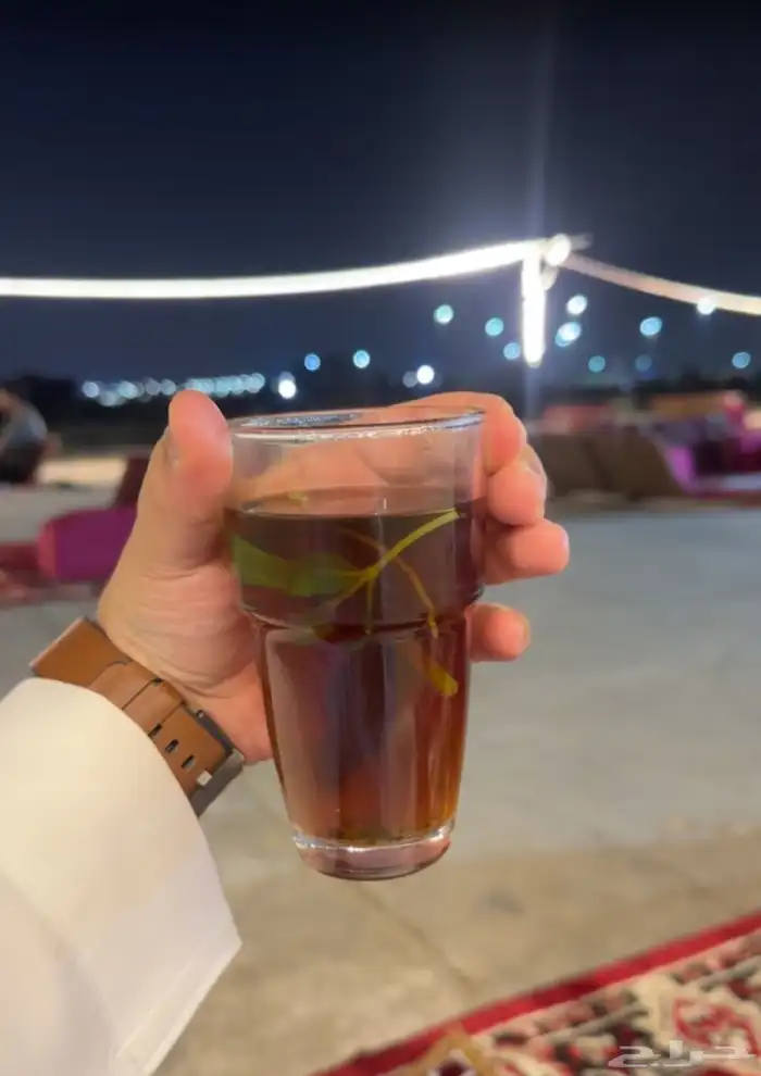 فود ترك للبيع 2