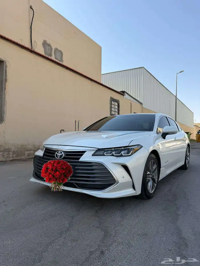 افالون 2019 تورنق 0