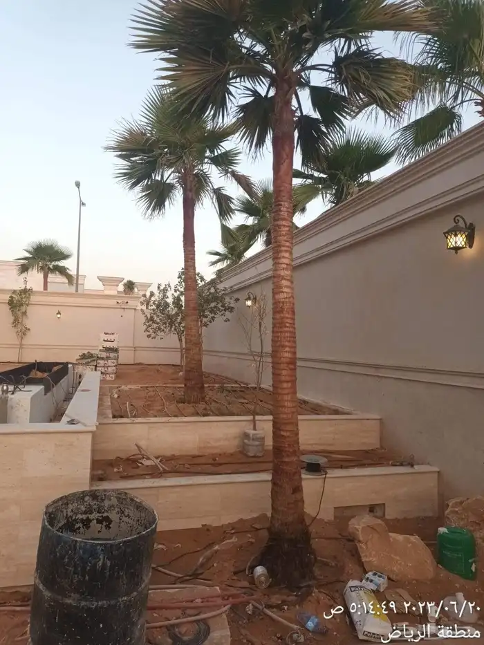 توريد وتركيب الشبوك 2